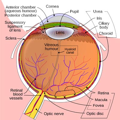 Desprendimiento de retina. Enfermedades y tratamientos para los problemas oculares por el Instituto Oftalmológico Recoletas.
